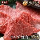 A5 飛騨牛 ランプ焼肉 570g【冷凍】ブランド牛 肉ギフト【11-1021】