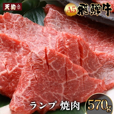 【2026年2月から順次発送】A5 飛騨牛 ランプ焼肉 570g【冷凍】【11-1021】