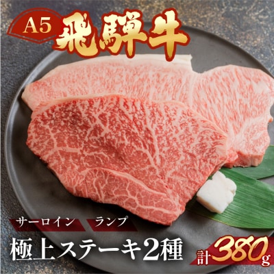 A5飛騨牛サーロイン・ランプステーキ 約380g(約190g×各1枚)【冷凍】【11-1025n】