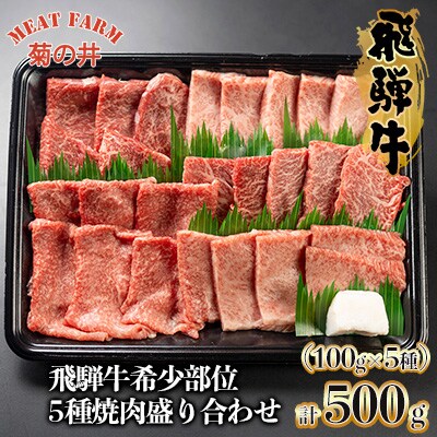 飛騨牛 希少部位5種 焼肉盛り合わせ 各100g  計500g 【70-45】