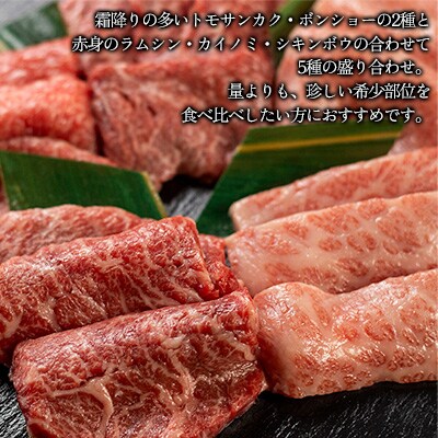 飛騨牛 希少部位5種 焼肉盛り合わせ 各100g  計500g 【70-45】