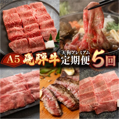 【定期便5回】A5 飛騨牛 天狗 牛肉 (ステーキ / すき焼き / 焼肉 )【11-N】