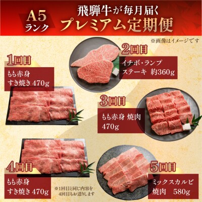 【定期便5回】A5 飛騨牛 天狗 牛肉 (ステーキ / すき焼き / 焼肉 )【11-N】