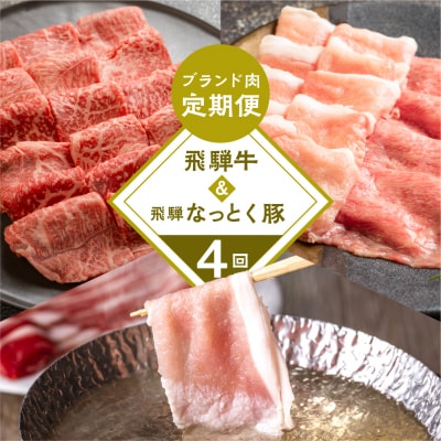 【定期便 4回】飛騨牛&なっとく豚  牛肉 / 豚肉 食べ比べ しゃぶしゃぶ 焼肉【tc1】