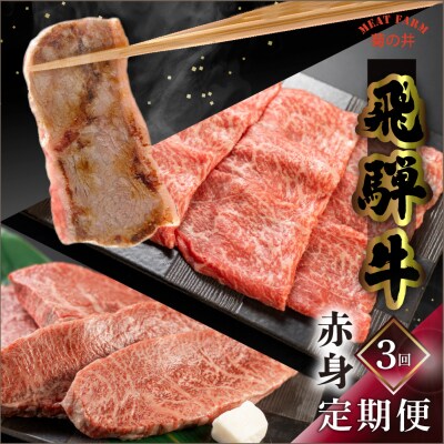 【定期便 3回】飛騨牛 菊の井 赤身  (ステーキ / 焼き肉 / しゃぶしゃぶ)【70-A】