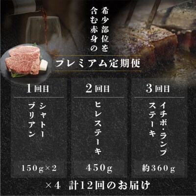 【定期便12回】 飛騨牛 赤身 ステーキ プレミアム おすすめ ブランド牛 希少部位【tc5】