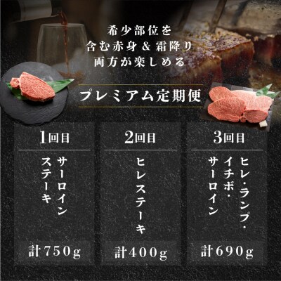 【定期便 3回】 飛騨牛 ステーキ プレミアム  3-4人前 赤身&霜降り【tc6】