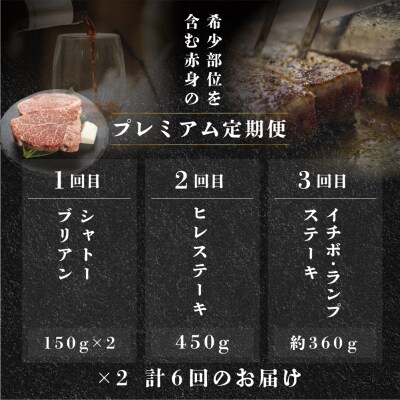 【定期便 6回】飛騨牛 赤身 ステーキ 6回 定期便 プレミアム【tc4】