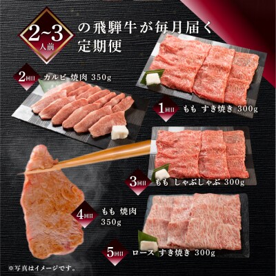 【定期便 5回】 飛騨牛 ふたりで楽しむ 定期便 5回 菊の井 牛肉【70-B】