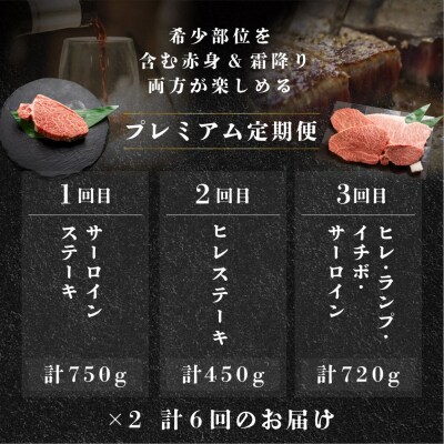 【定期便 6回】 飛騨牛 ステーキ プレミアム  3-4人前牛肉 おすすめ ブランド牛【tc7】