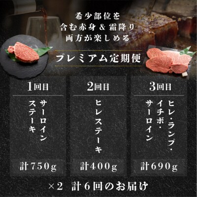 【定期便 6回】 飛騨牛 ステーキ プレミアム  3-4人前牛肉 おすすめ ブランド牛【tc7】