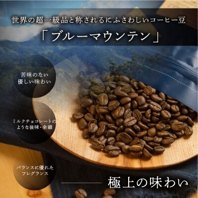 新鮮煎りたて最高級コーヒー豆(ブルーマウンテン 200g×1袋)【17-86】