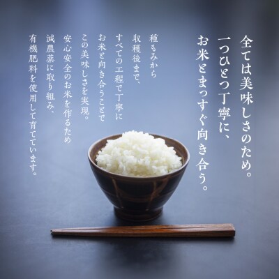 先行受付【2025年産米】かみはら山水農園 山水育ち コシヒカリ 5kg【28-c】