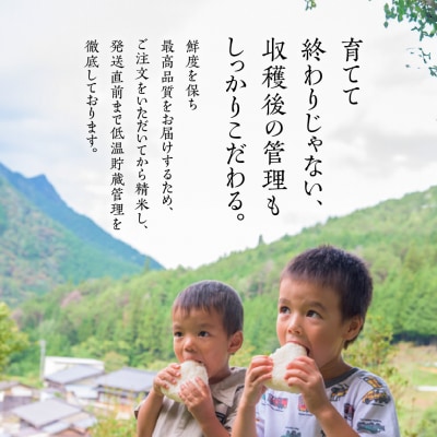 先行受付【2025年産米】コシヒカリ 10kg(5kg×2袋)かみはら山水農園 山水育ち【28-d】
