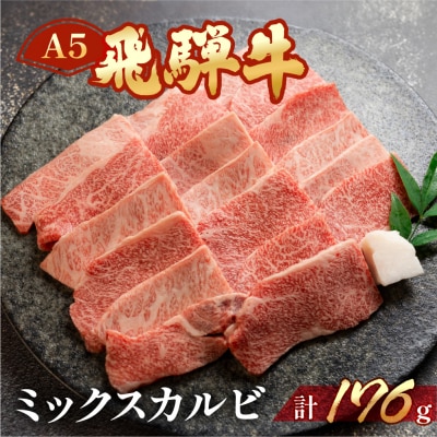 飛騨牛 A5 ミックスカルビ 176g(約2人前)【冷凍 真空】牛肉 カルビ 焼肉 【11-75】