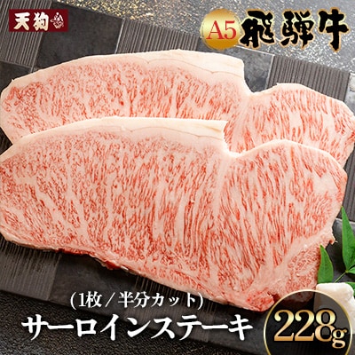 【2026年2月から順次発送】飛騨牛 A5 サーロインステーキ 228g【冷凍 真空】【11-81】