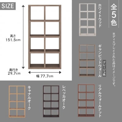 【ギャンビットウォール(グレージュ色)】フリーダム両面シェルフ RSG-420【46-18【5】】