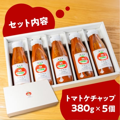 【今井農園】トマトケチャップ 5個セット(380g×5個)【85-2】