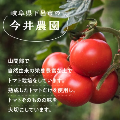 【今井農園】トマトケチャップ 5個セット(380g×5個)【85-2】
