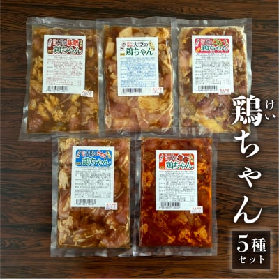 焼肉大臣の鶏ちゃんセット 5種類 食べ比べ 下呂市 ソウルフード 郷土料理【83-17】