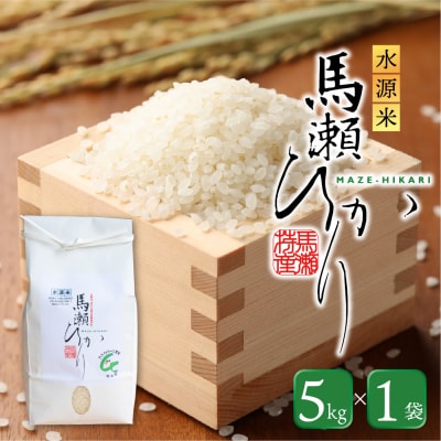 先行受付【2025年産】水源米 馬瀬ひかり (5kg×1袋)  コシヒカリ 精米 米【18-7】