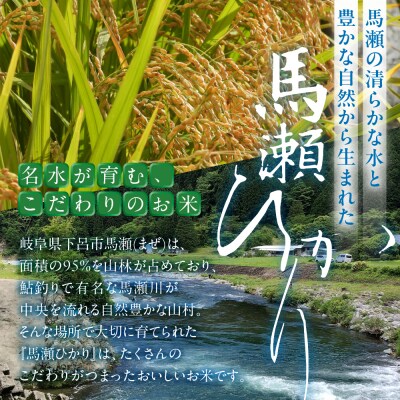 先行受付【2025年産】水源米 馬瀬ひかり (5kg×1袋)  コシヒカリ 精米 米【18-7】