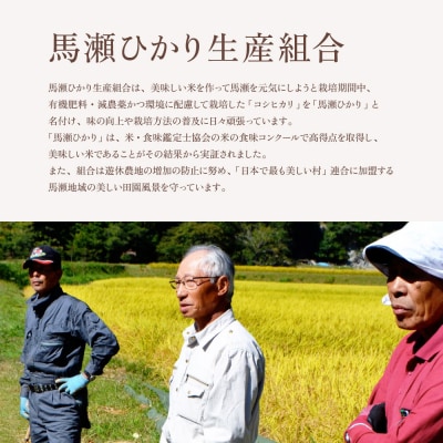 新米先行受付【2026年産】(10月中旬頃から順次発送) 馬瀬ひかり 5kg【125-1】