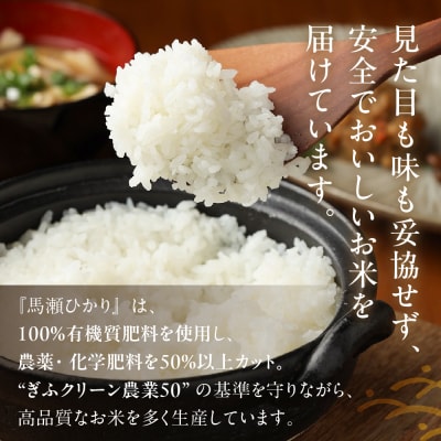先行受付【2025年産】水源米 馬瀬ひかり (5kg×1袋)  コシヒカリ 精米 米【18-7】