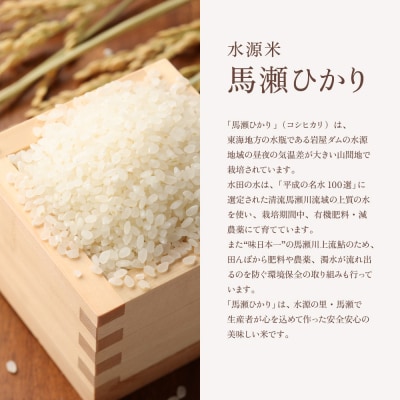 新米先行受付【2026年産】(10月中旬頃から順次発送) 馬瀬ひかり 5kg×2袋【125-2】