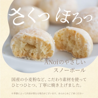 ANoi スノーボール 6種セット 10個×6種(プレーン、ココア、抹茶、イチゴ、きな粉【55-5】