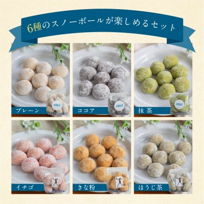 ANoi スノーボール 6種セット 10個×6種(プレーン、ココア、抹茶、イチゴ、きな粉【55-5】