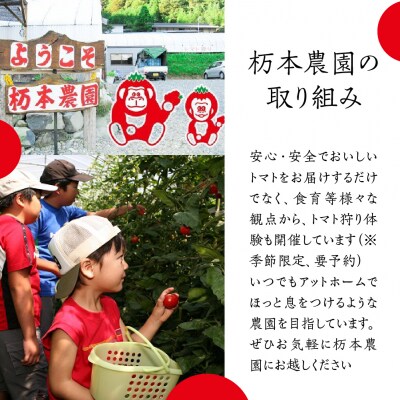 【定期便 3回】産地直送!杤本農園 フルーツトマトジュース華小町(720ml×6本入り)【45-A】