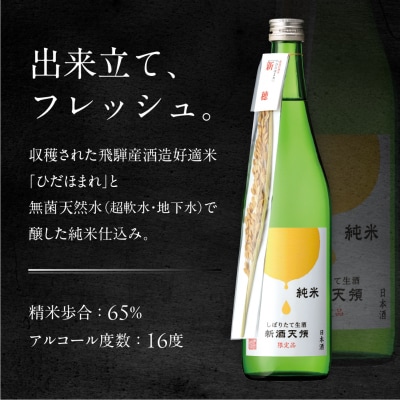 【天領酒造】純米しぼりたて生酒 新酒天領(720ml×1本)【2-27】