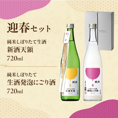 (迎春セット)純米しぼりたて生酒　新酒天領・生酒発泡にごり酒【2-38】