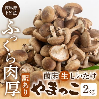 先行予約　訳あり 不揃い【期間限定】菌床生椎茸　詰め合わせ 2kg(大・小・形 混合)【71-6】