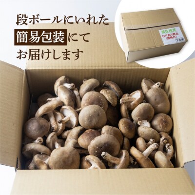 訳あり 不揃い【期間限定】菌床生椎茸　詰め合わせ 2kg(大・小・形 混合)【71-6】