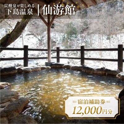 下島温泉【仙游館】宿泊補助券(12,000円分)旅館 温泉 旅行 下呂市 宿泊券 【a026-4】