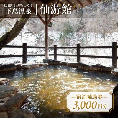 下島温泉【仙游館】宿泊補助券(3,000円分)旅館 温泉 旅行 下呂市 宿泊券 【a026-1】