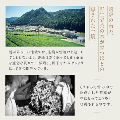 金飛騨茶 57577 緑茶(50g×1箱)ほうじ茶(40g×1箱)飛騨金山産【94-3】