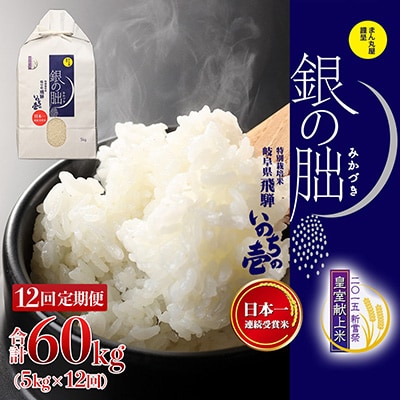 (2026年11月から毎月発送)【定期便】5kg×12回【2026年産】銀の朏【13-24】