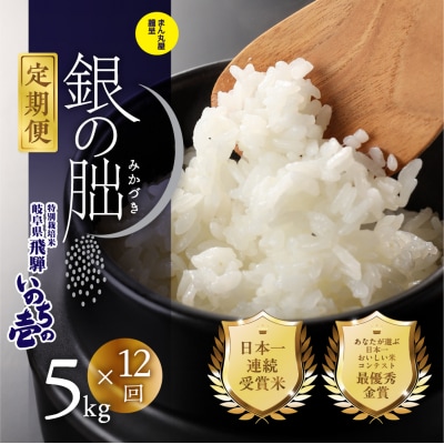 (2026年11月から毎月発送)【定期便】5kg×12回【2026年産】銀の朏【13-24】