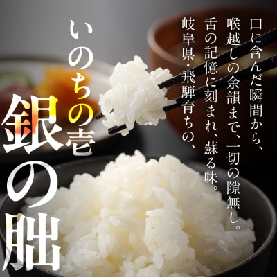 (2026年11月から毎月発送)【定期便】2kg×6回【2026年産】銀の朏【13-27】