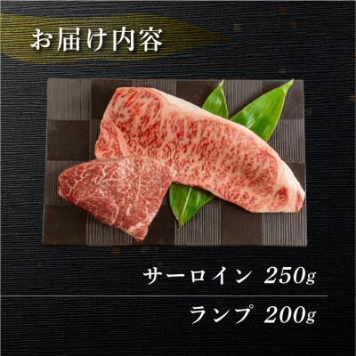 【年内順次発送】菊の井 飛騨牛ステーキ2種(サーロイン 250g ランプ 200g)【70-57n】
