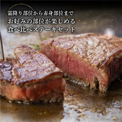菊の井 飛騨牛ステーキ3種セット(サーロイン、イチボ、ランプ)【70-59】
