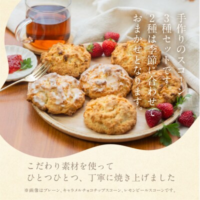 ANoi 簡易包装(訳あり)スコーン 15個(プレーン 5個・おまかせ 2種×各5個)【55-4】