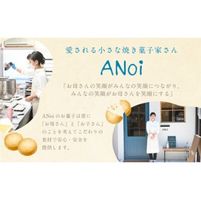 ANoi 簡易包装(訳あり)スコーン 15個(プレーン 5個・おまかせ 2種×各5個)【55-4】