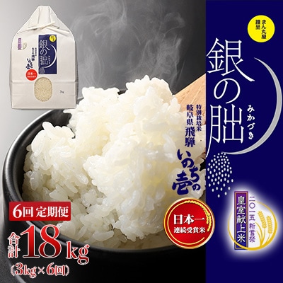 (2026年11月から毎月発送)【定期便】3kg×6回【2026年産】銀の朏【13-28】