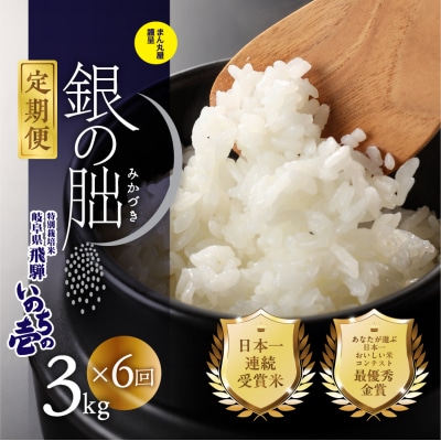 (2026年11月から毎月発送)【定期便】3kg×6回【2026年産】銀の朏【13-28】