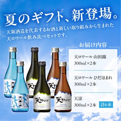 【期間限定】天ロワール(山田錦、ひだほまれ)天涼(各300ml ×2)6本セット【2-44】