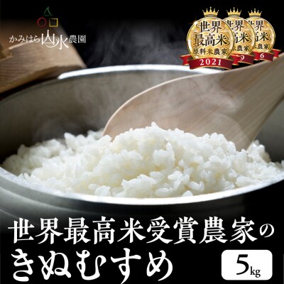 【2025年産】きぬむすめ 5kg(5kg×1袋)【かみはら山水農園】【28-12】